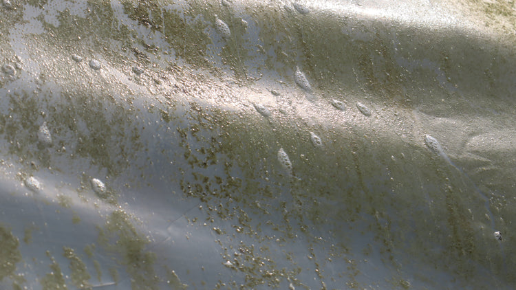 Surface Cleaning & Moss Killing