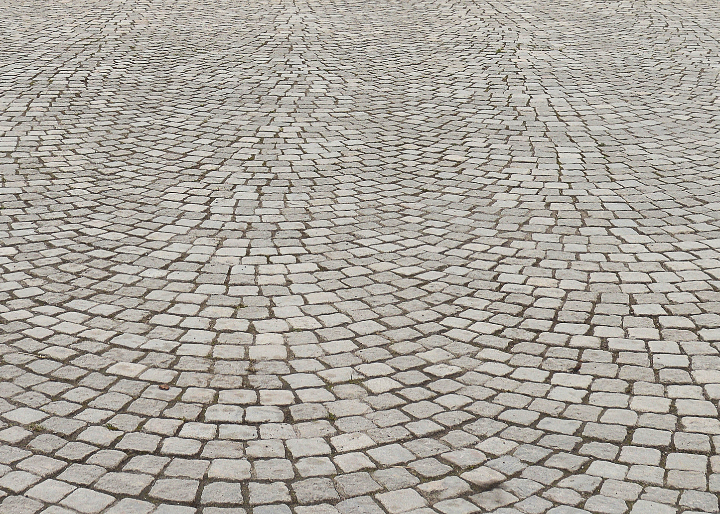 driveways, patios and carparks can all be kept free from the growth of moss and lichen. Baticlean CR can keep a surface clear from the effects of moss growth.