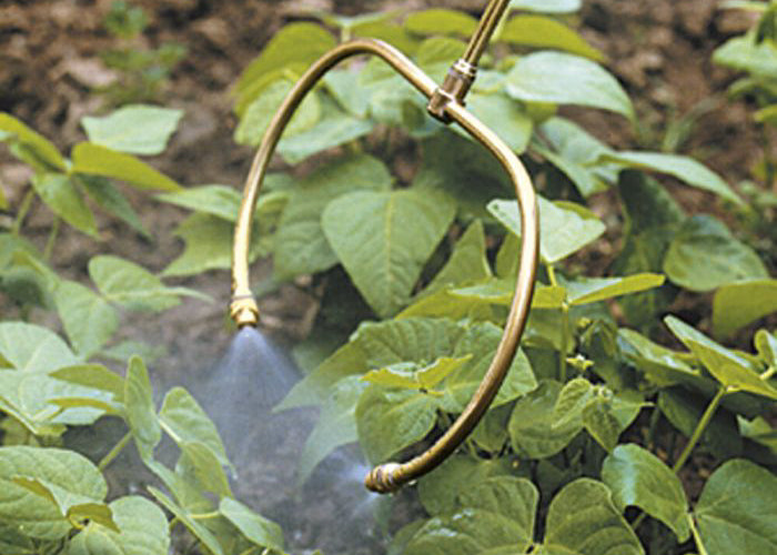 photo showing our brass double nozzle spray boom being used to spray the underside of plants.