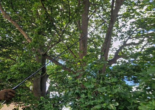 spray lance extension for electric backpack sprayer