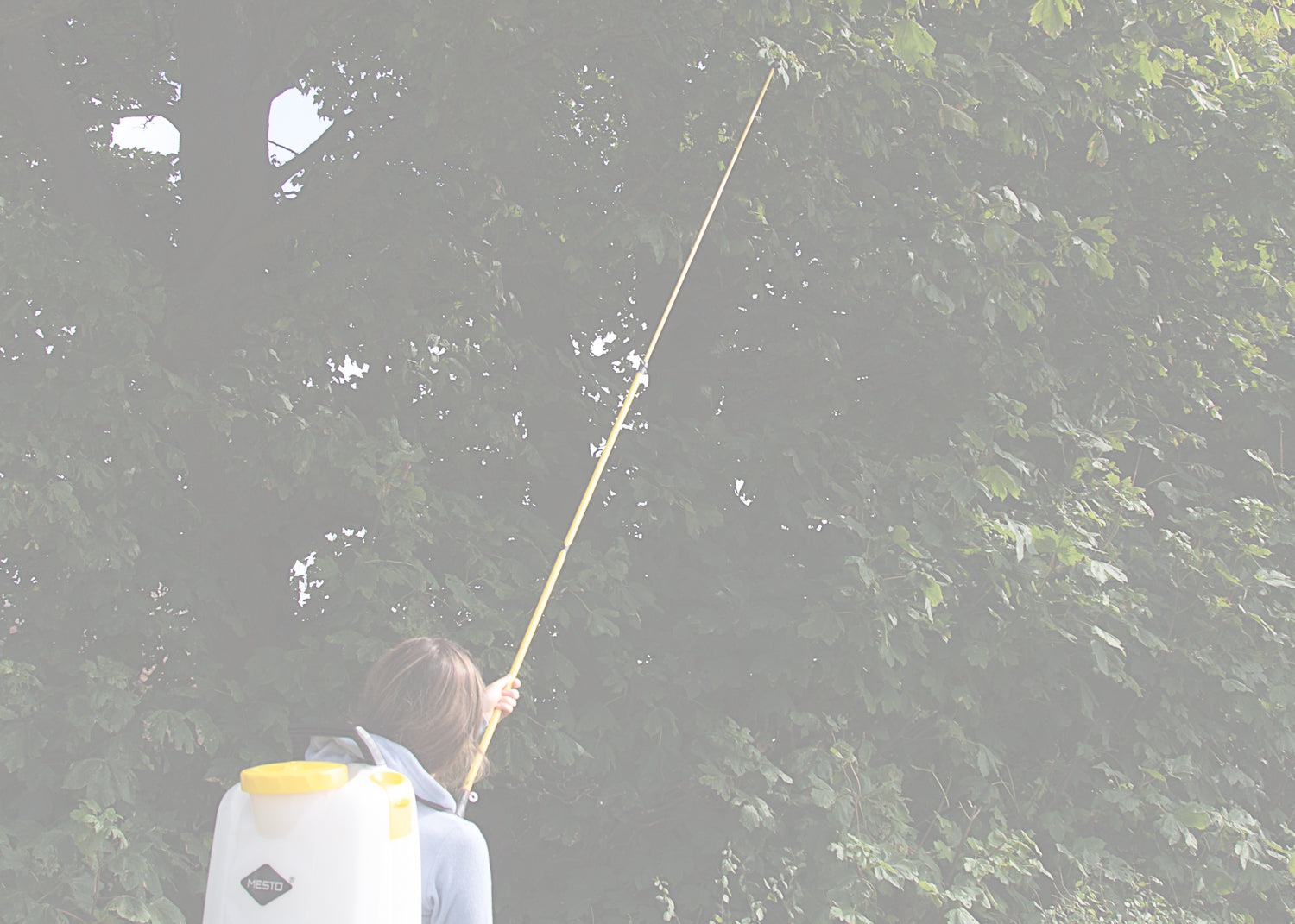 Telescopic Lances