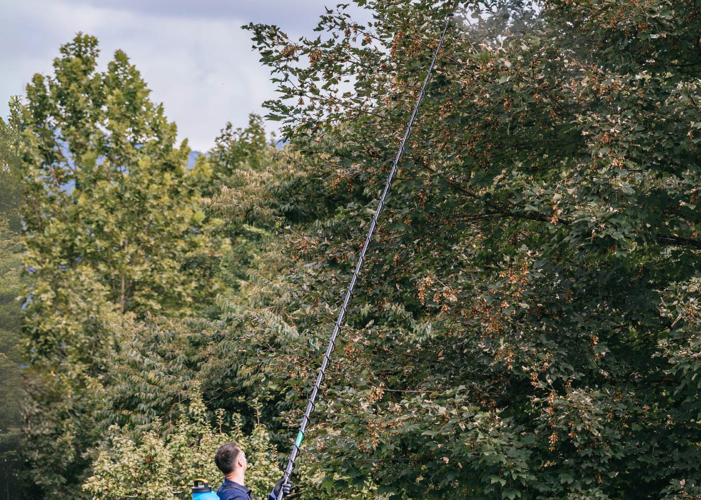 long telescopic spraying lance reaching into tree branches to spray